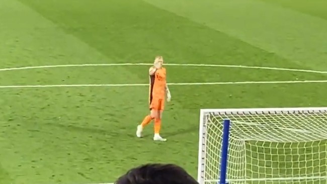 Aaron Ramsdale angers Chelsea fans with his reaction after Arsenal’s last goal
