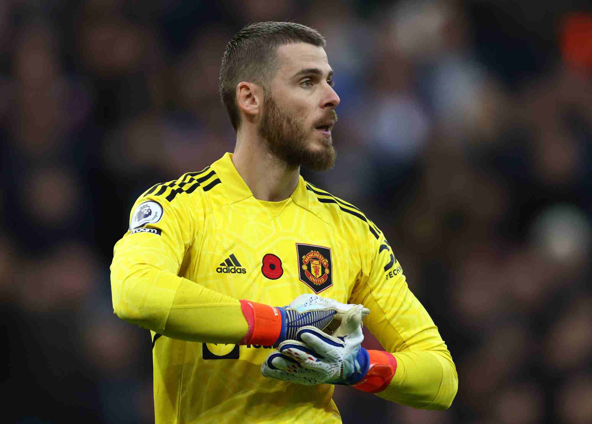 David de Gea shocked by retirement message from Spanish FA after World Cup snub