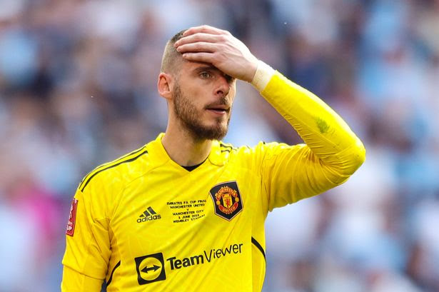 Man Utd stars share view on De Gea future as club figures want goalkeeper out