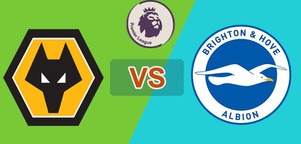 Wolves vs Brighton