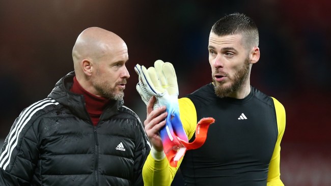 David de Gea’s brutal response to Man Utd sacking Ten Hag